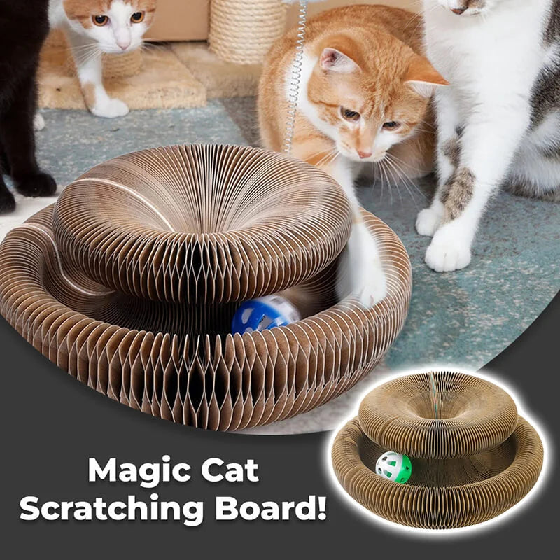 Product Cat Toy Magic organ Cat scratching board-Veeddydropshipping