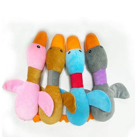 BiteResistantPetVocalDogToysChewingTeethingToys-Veeddydropshipping-5
