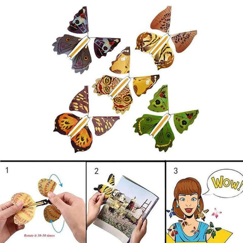 ButterflyChrysalisBecomesButterflyQuirkyChildren_sDecorativeToys-Veeddydropshipping-7