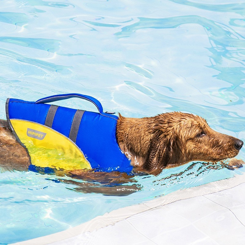 CampingSmallMediumLargeDogPetSwimmingLifeJacket-veeddydropshipping-4