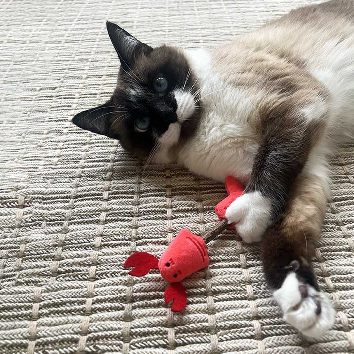 CatDollMuteniwaTeethingStickCatToy-Veeddydropshipping-1