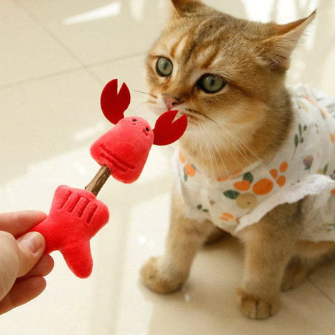 CatDollsMuteniwaTeethingStickCatToys-Veeddydropshipping-6