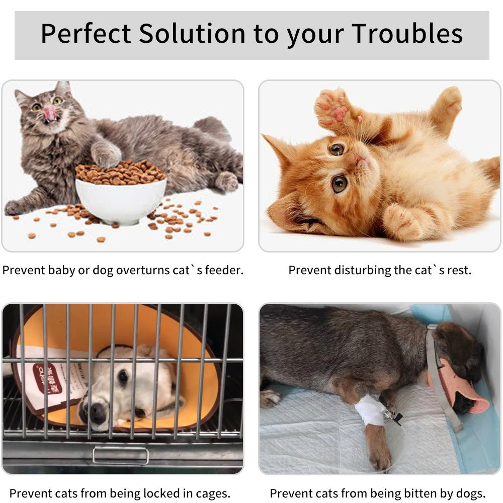 CatDoorBracketLatchPreventsDogAccess-Veeddydropshipping_9