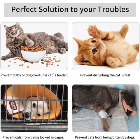 CatDoorBracketLatchPreventsDogAccess-Veeddydropshipping_9