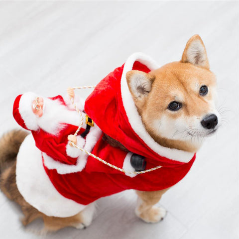    ChristmasPetClothesGreenElfPetDogChristmasCostumes-Veeddydropshipping-7