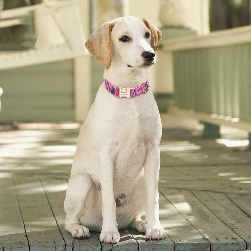       EngravedMetalBuckleBohemianStripePlaidPetCollar-Veeddydropshipping-4