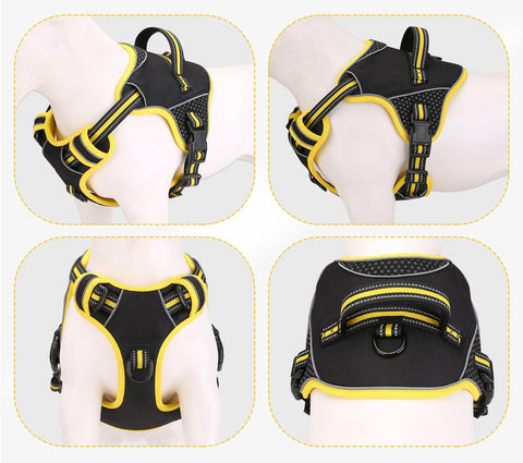 ExplosionProofDogOutdoorDogWalkingNylonCarrier-Veeddydropshipping-1