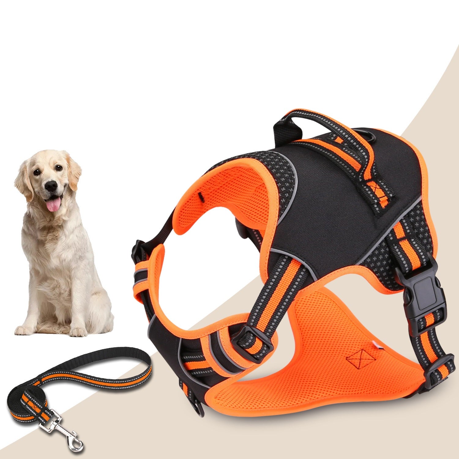 ExplosionProofDogOutdoorDogWalkingNylonCarrier-Veeddydropshipping-2
