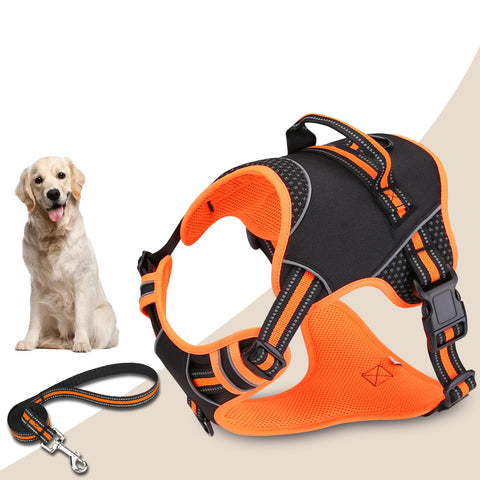 ExplosionProofDogOutdoorDogWalkingNylonCarrier-Veeddydropshipping-2