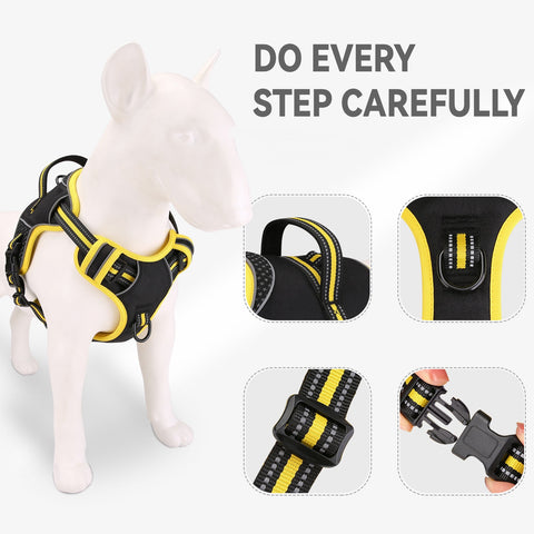 ExplosionProofDogOutdoorDogWalkingNylonCarrier-Veeddydropshipping-3