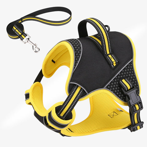 ExplosionProofDogOutdoorDogWalkingNylonCarrier-Veeddydropshipping-5