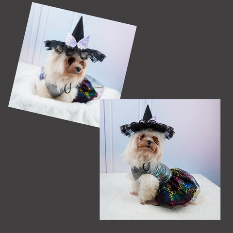 HalloweenCatPetNonWovenWitchCreativeHat-Veeddydropshipping-3