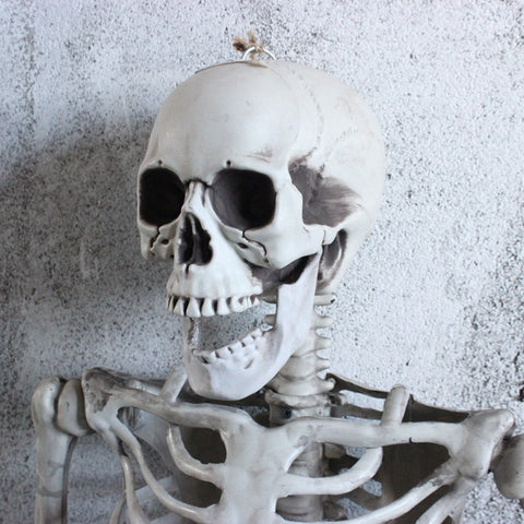 HalloweenFullBodySkeletonScarySkeletonOrnament-Veeddydropshipping-2