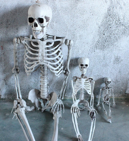 HalloweenFullBodySkeletonScarySkeletonOrnament-Veeddydropshipping-3