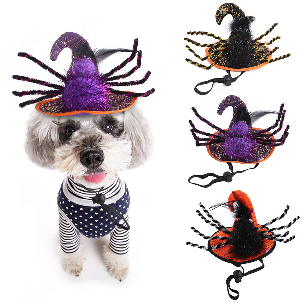 HalloweenFunnySpookyPetCatSpiderHat-Veeddydropshipping-2