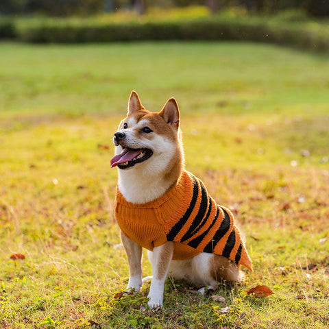 HalloweenPetDogWarmCasualDogSweater-Veeddydropshipping-1