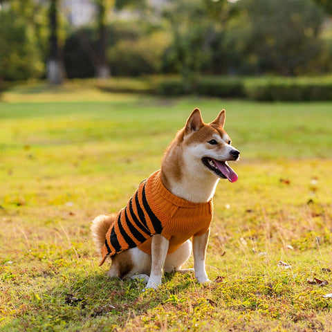 HalloweenPetDogWarmCasualDogSweater-Veeddydropshipping-2