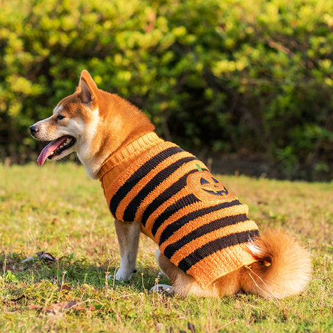 HalloweenPetDogWarmCasualDogSweater-Veeddydropshipping-3