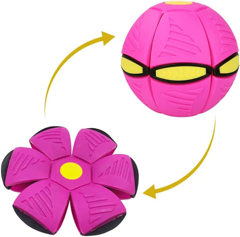 Interactive Frisbee Dog Toy-Veeddydropshipping