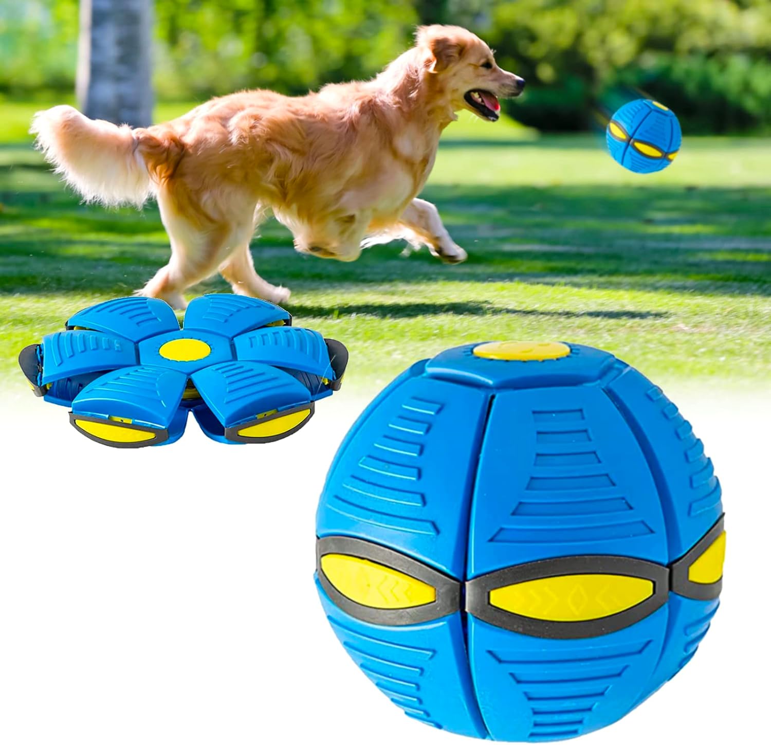 Interactive Frisbee Dog Toy-Veeddydropshipping