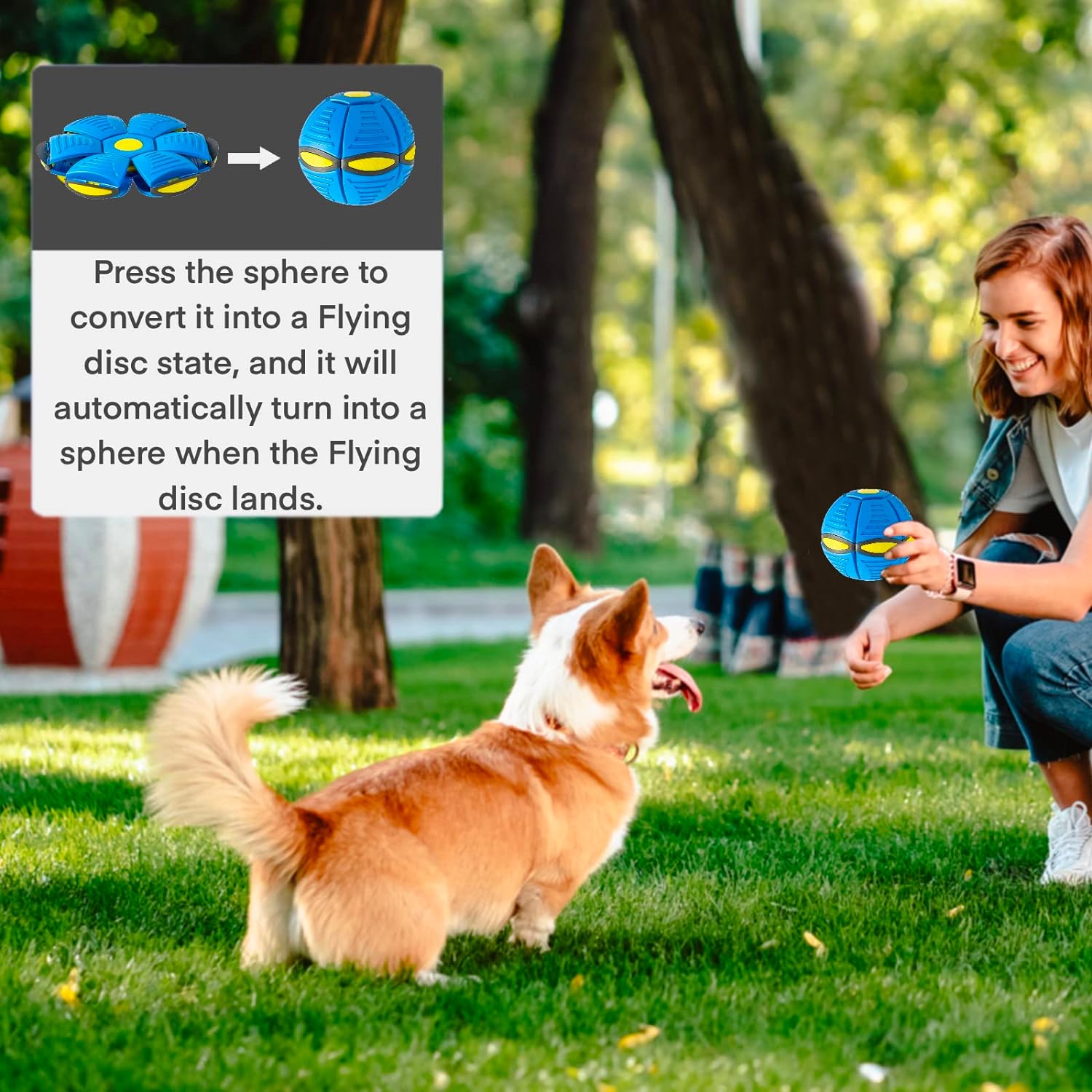 Interactive Frisbee Dog Toy-Veeddydropshipping