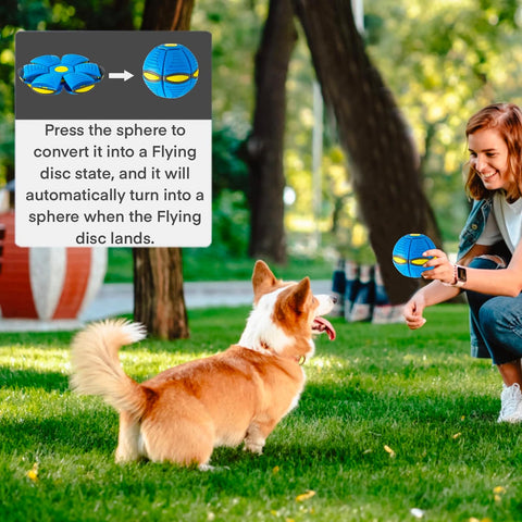 Interactive Frisbee Dog Toy-Veeddydropshipping