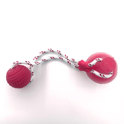    InteractivePuppyTrainingRopeMultifunctionPetMolarBiteToy-Veeddydropshipping-10
