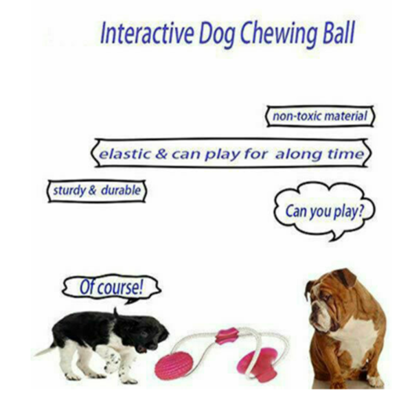    InteractivePuppyTrainingRopeMultifunctionPetMolarBiteToy-Veeddydropshipping-2