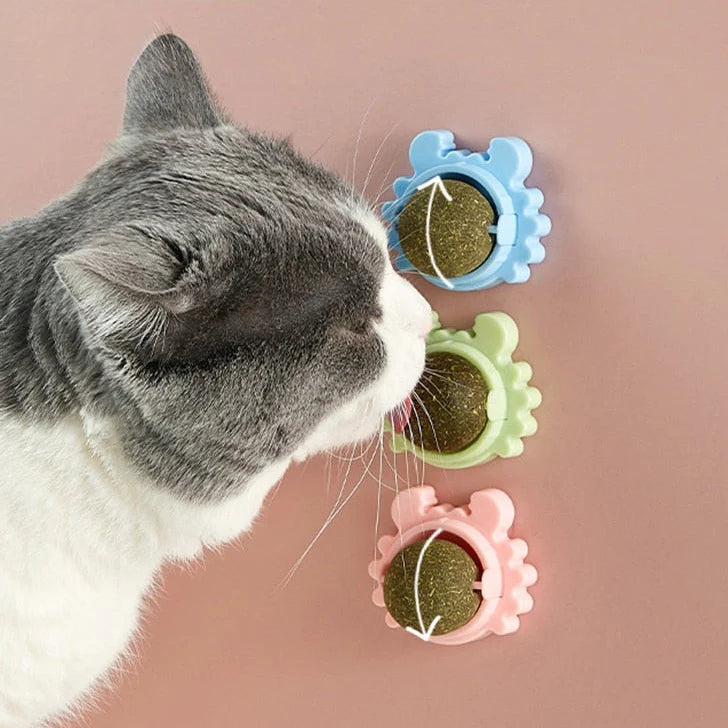 Pet Cat Catnip Spinning Ball Molar Teeth Licking-Veeddydropshipping-1