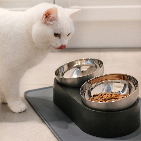 PetFeederSteelCatFoodBowls-Veeddydropshipping-1