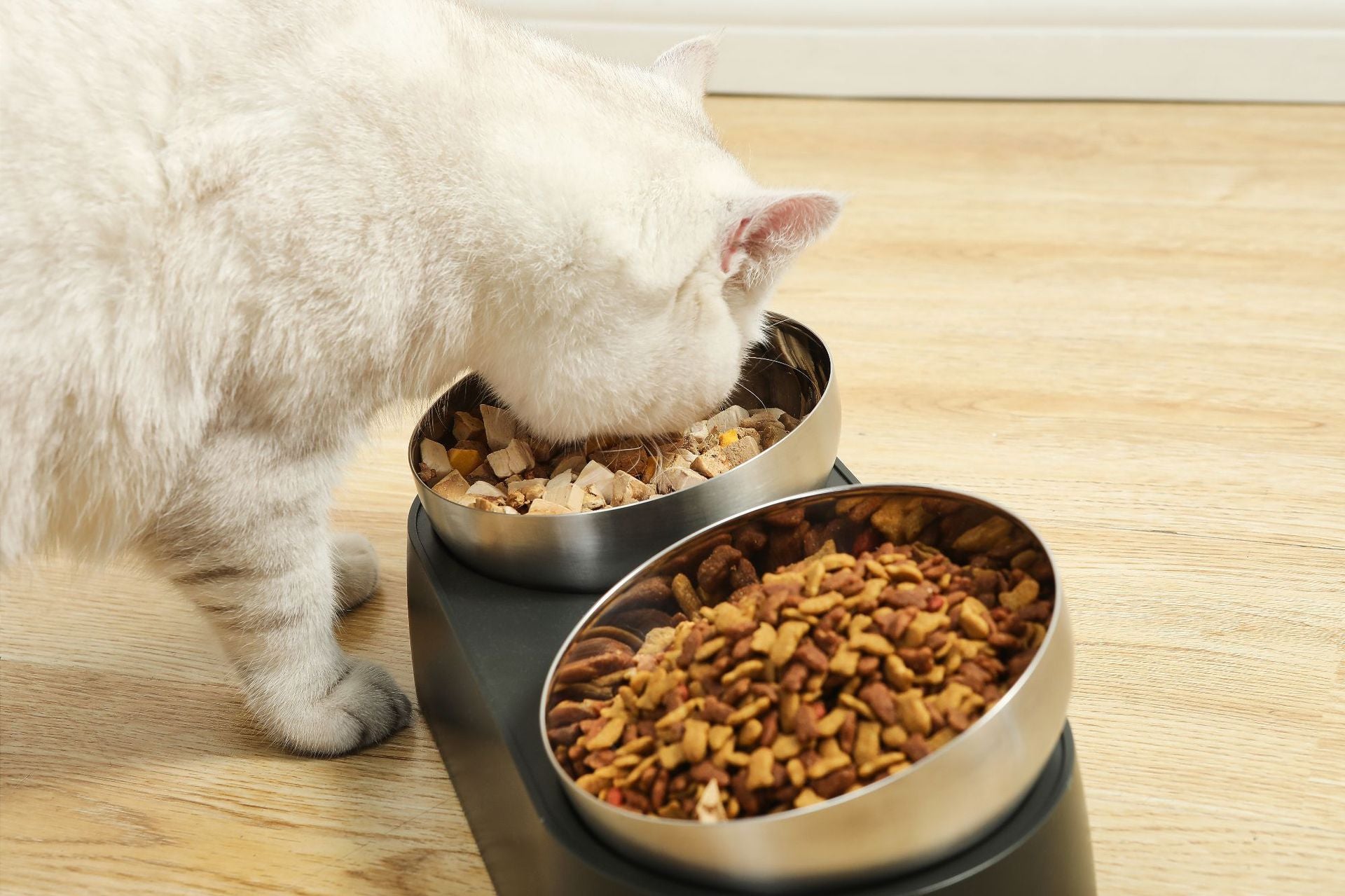 PetFeederSteelCatFoodBowls-Veeddydropshipping-3