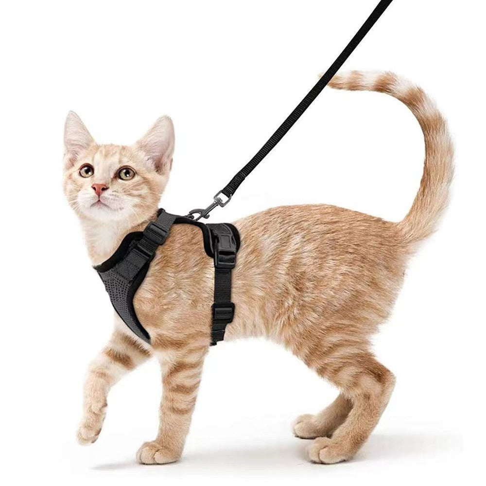 PetHarnessLeashPawProwl-WalkingCatHarness-Veeddydropshipping_1