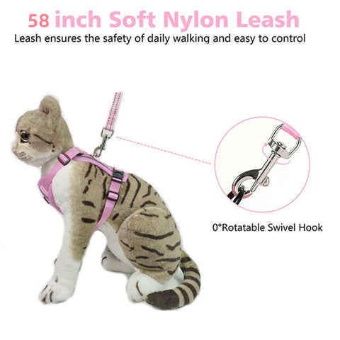 PetHarnessLeashPawProwl-WalkingCatHarness-Veeddydropshipping_10
