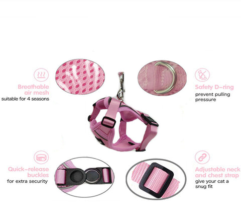 PetHarnessLeashPawProwl-WalkingCatHarness-Veeddydropshipping_12