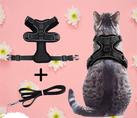 PetHarnessLeashPawProwl-WalkingCatHarness-Veeddydropshipping_15