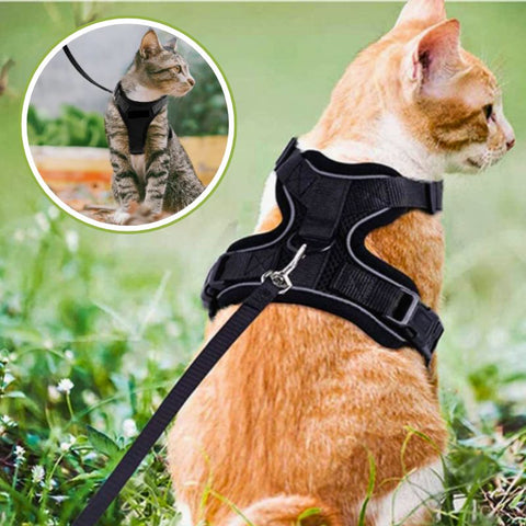 PetHarnessLeashPawProwl-WalkingCatHarness-Veeddydropshipping_9