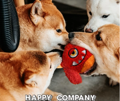 PetMotorizedEntertainmentMonsterBall-Veeddydropshipping-1
