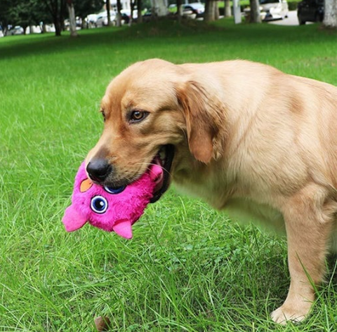 PetMotorizedEntertainmentMonsterBall-Veeddydropshipping-2