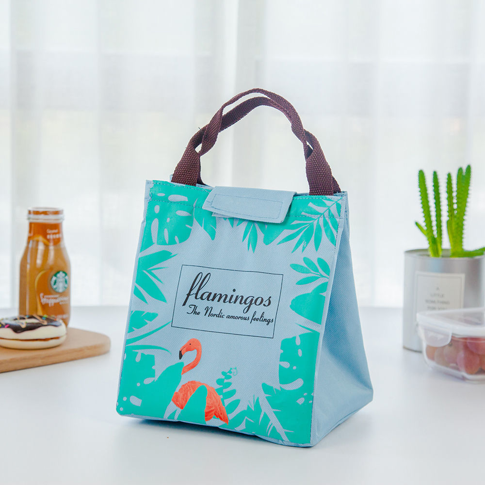 Portable Lunch Bag Cartoon Print Picnic Bag Camping-veeddydropshipping-4