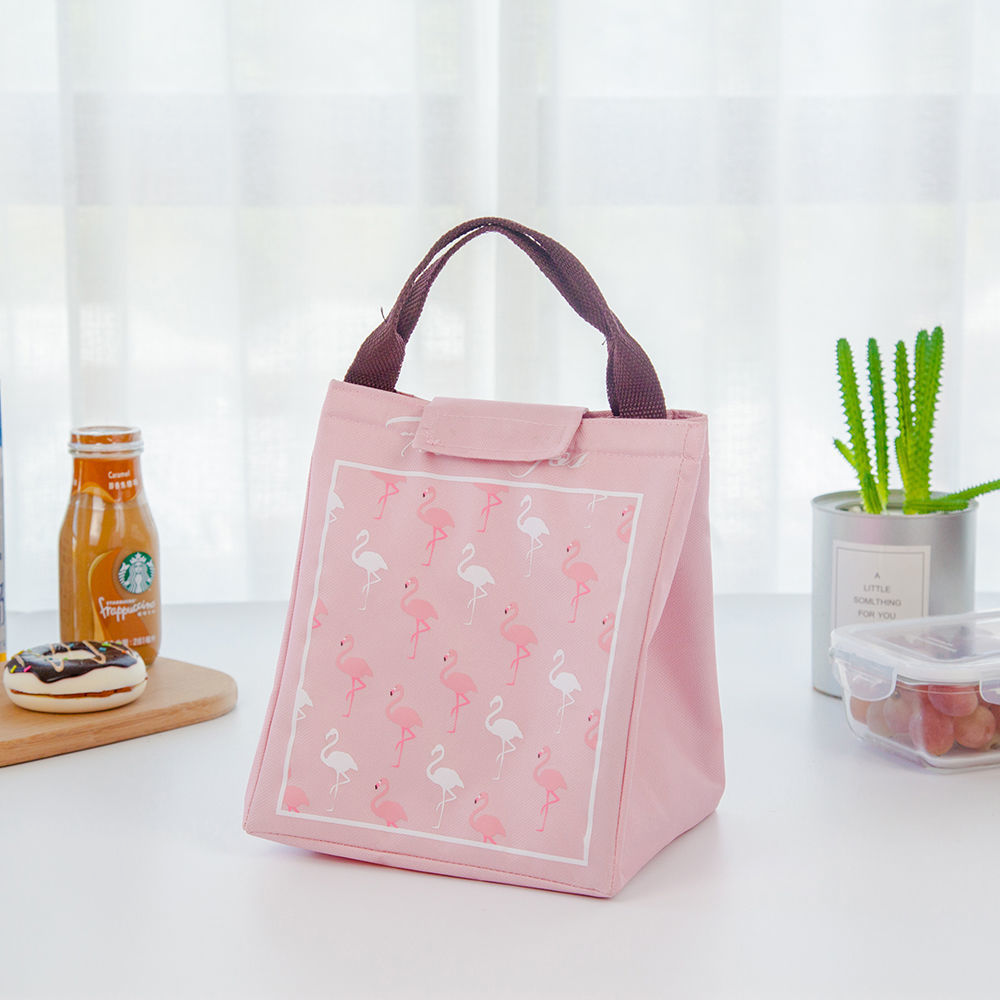 Portable Lunch Bag Cartoon Print Picnic Bag Camping-veeddydropshipping-5
