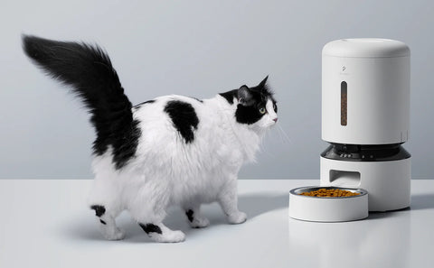 SmartPetFeederInfraredsensorSelf-feedingdogandcat-Veeddydropshipping_2