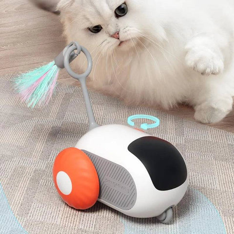 SmartTeaseRemoteControlElectricCatToy-Veeddydropshipping-1