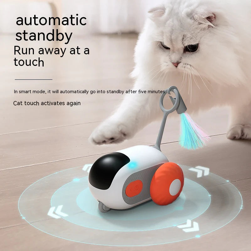 SmartTeaseRemoteControlElectricCatToy-Veeddydropshipping-5