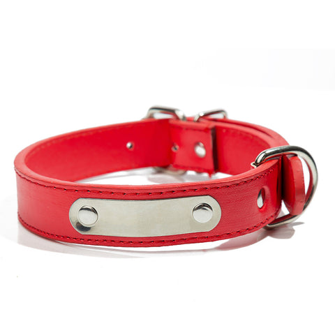       StainlessSteelLaserEngravedIronPiecePuPetCollar-Veeddydropshipping-6