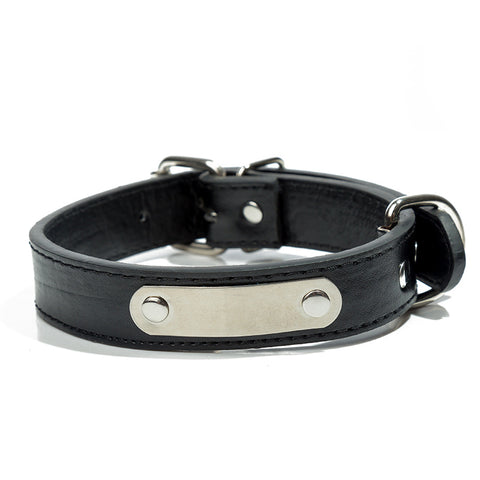       StainlessSteelLaserEngravedIronPiecePuPetCollar-Veeddydropshipping-7