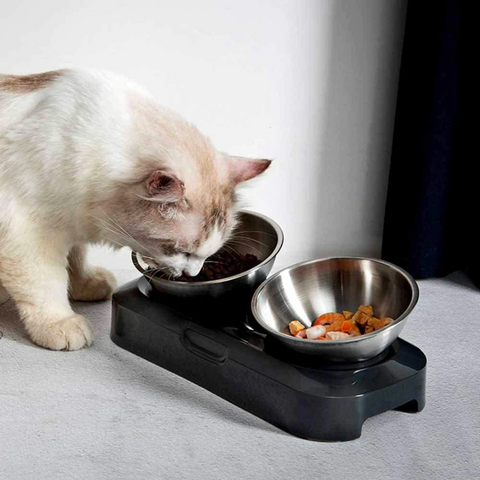 SteelDoubleCatFeederPetStainlesAnti-Knockover-Veeddydropshipping_1