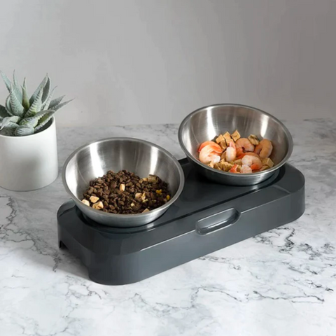 Steel Double Cat Feeder Pet Stainles Anti-Knockover-Veeddydropshipping