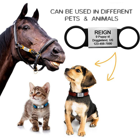    TagNameDogCollarNamePersonalizedCatTagsSlideOnPet-Veeddydropshipping-2