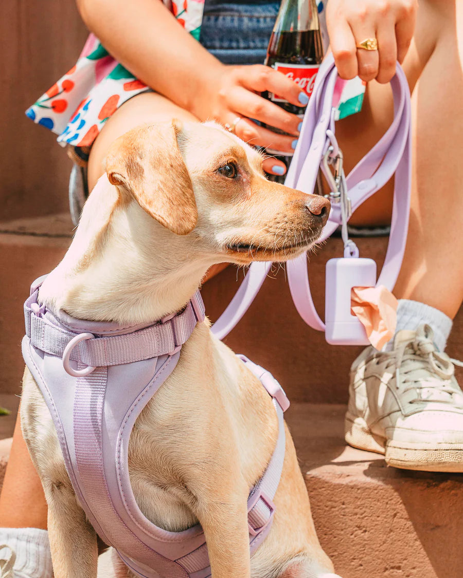 Dog Harness Vest Kit-Veeddydropshipping