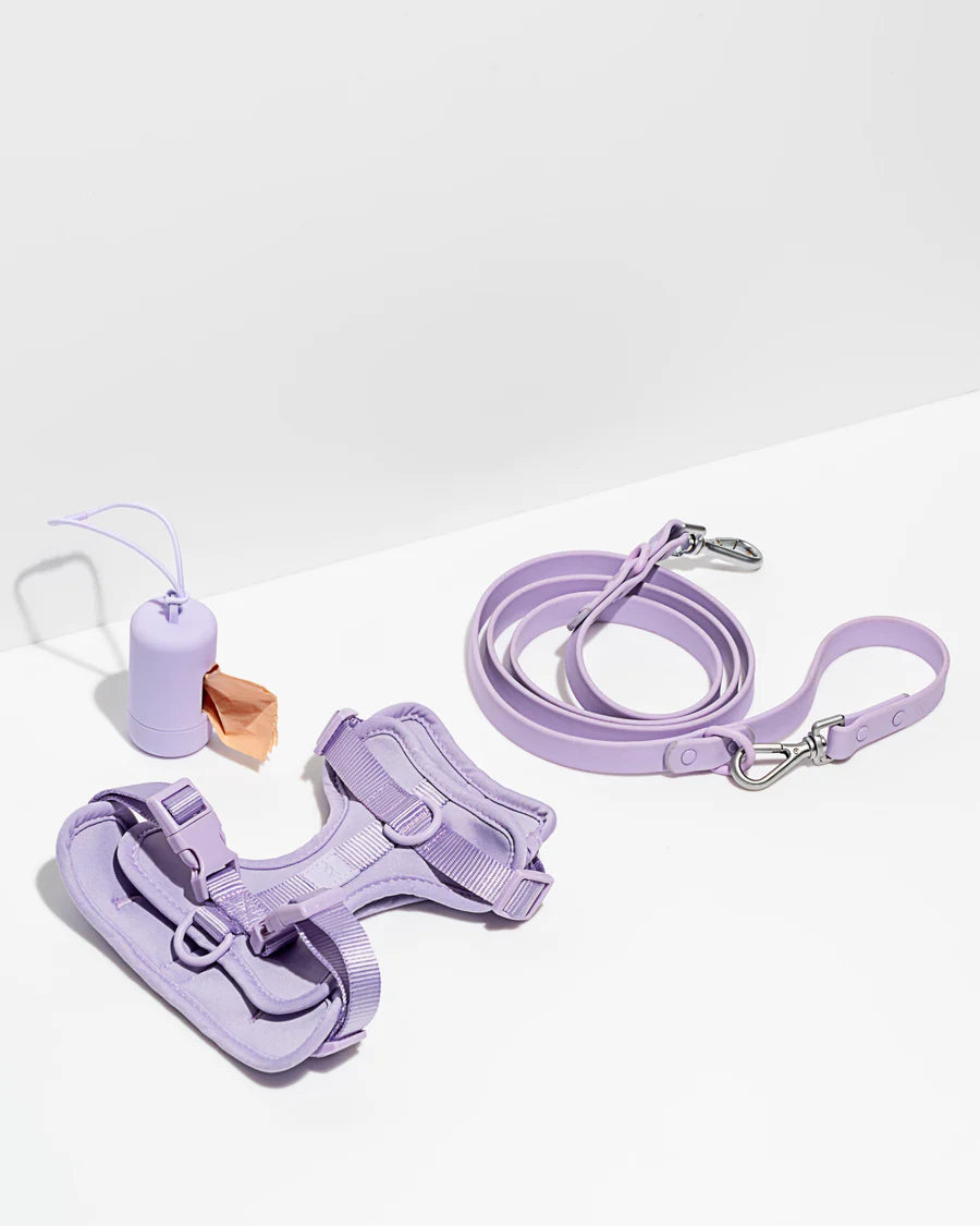 Dog Harness Vest Kit-Veeddydropshipping